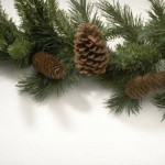 Winter Specials 2012
