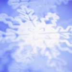 Winter Newsletter