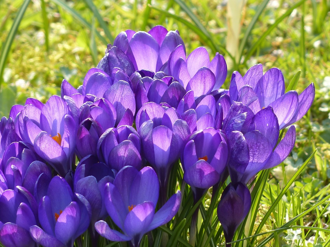 Spring Newsletter